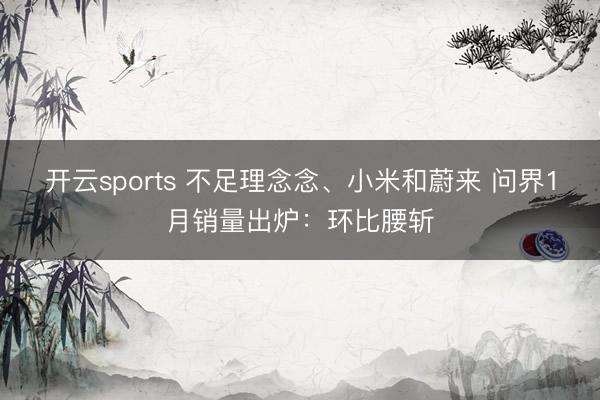 开云sports 不足理念念、小米和蔚来 问界1月销量出炉：环比腰斩